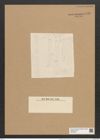 Grammatophora maxima var. trinitatis Grun. (de-Toni-Nr.: Genus 93, Species 3033) Zeichnungen Sammlung Grunow Nr. 6145 (NHMW-BOT-W0374691)